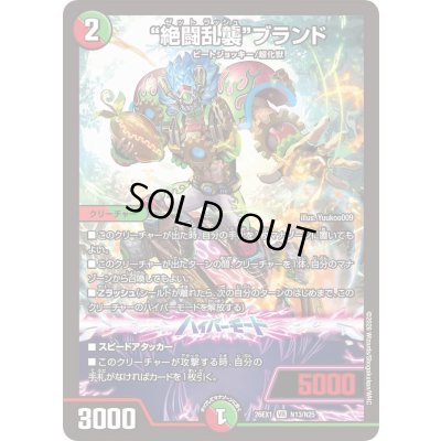 画像1: ☆SALE☆絶闘乱襲ブランド【VR】{26EX1N13/N25}《多》