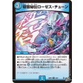 極智秘伝ローゼス・チューン【U】{26RP235/77}《水》