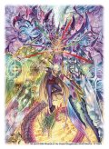 スリーブ『[DXカードスリーブ]CRY-S-MAXジャオウガ&アバク』64枚入り【サプライ】{-}