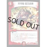 天守閣龍王武陣【R】{DMR1334/110}《火》