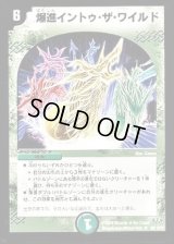 爆進イントゥ・ザ・ワイルド【R】{DM3239/110/Y8}《自然》