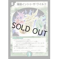 爆進イントゥ・ザ・ワイルド【R】{DM3239/110/Y8}《自然》