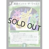 爆進イントゥ・ザ・ワイルド【R】{DMD2616/17}《自然》
