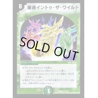 爆進イントゥ・ザ・ワイルド【R】{DMD2616/17}《自然》
