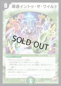 〔状態B〕爆進イントゥ・ザ・ワイルド【R】{P33/Y15}《自然》