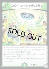 〔状態B〕コクーン・シャナバガン【R】{RP0328/93}《自然》