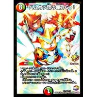 〔状態B〕ハムカツ団の爆砕Go!【R】{P64/Y15}《多》
