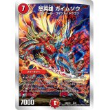 怒英雄ガイムソウ【-】{DMD186/20}《火》
