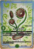 〔状態A-〕ワイラビIV【C】{RP0996/102}《GR》