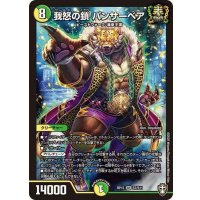 〔状態B〕我怒の鎖パンサーベア【SR】{RP15S7/S11}《多》