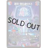 選伐！美孔麗MAX【R】{RP1527/95}《多》