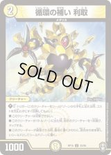 〔状態B〕循環の補い利取【U】{RP1532/95}《光》