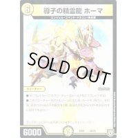 導子の精霊龍 ホーマ【-】{EX0438/75}《光》