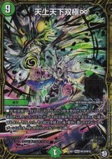 〔状態B〕天上天下双極∞【MSS】{EX07M10/M12}《自然》