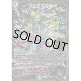 〔状態C〕天上天下双極∞【MSS】{EX07M10/M12}《自然》