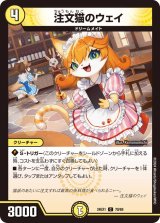 注文猫のウェイ【C】{24EX170/89}《光》