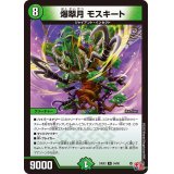 爆翠月モスキート【R】{24EX334/80}《自然》