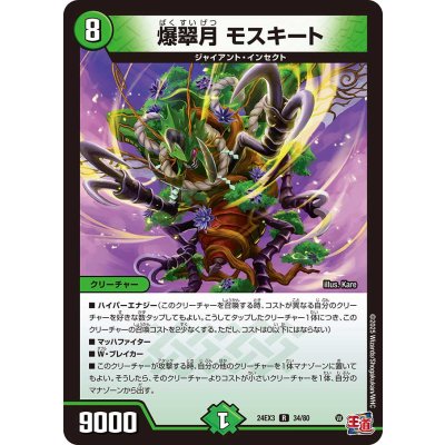 画像1: 爆翠月モスキート【R】{24EX334/80}《自然》