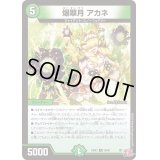 〔状態A-〕爆翠月アカネ【R】{24EX336/80}《自然》