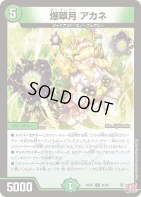 〔状態B〕爆翠月アカネ【R】{24EX336/80}《自然》