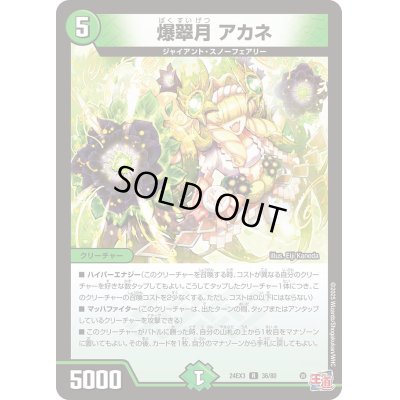 画像1: 爆翠月アカネ【R】{24EX336/80}《自然》