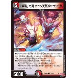 「双斬」の鬼ウコン大丸＆サコン大丸【R】{24EX343/80}《多》