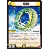 加速樹【U】{24EX349/80}《光》