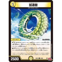 加速樹【U】{24EX349/80}《光》