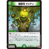 爆翠月ドリアン【U】{24EX371/80}《自然》