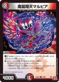 魔誕翔天マルピア【U】{24EX379/80}《多》