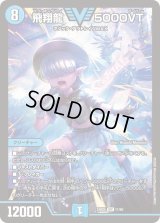 〔状態B〕飛翔龍5000VT【VIC】{24BD511/60}《水》