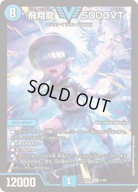 〔状態B〕飛翔龍5000VT【VIC】{24BD511/60}《水》