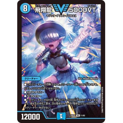 画像1: 飛翔龍5000VT【VIC】{24BD511/60}《水》