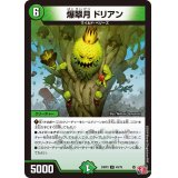 爆翠月ドリアン【U】{24RP349/76}《自然》