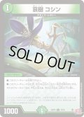 哀樹コシン【C】{24RP375/76}《自然》
