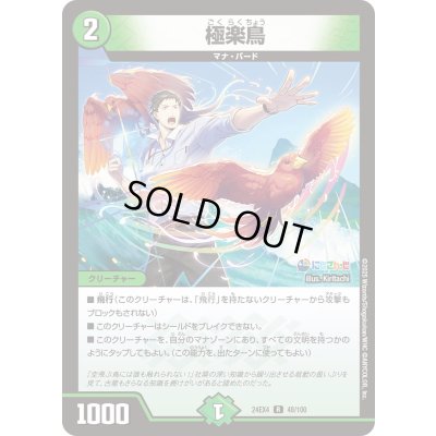 画像1: 極楽鳥【R】{24EX448/100}《自然》