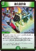 進化設計図【R】{25SD24/11}《自然》
