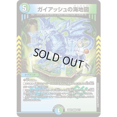 画像1: ガイアッシュの海地図【VR】{25SP26/17}《多》