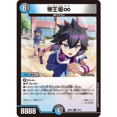 帝王坂∞【R】{25SP212/17}《多》