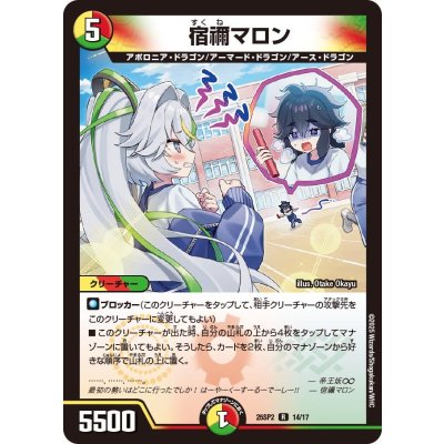 画像1: 宿禰マロン【R】{25SP214/17}《多》