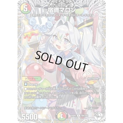 画像1: 宿禰マロン【R】{25SP2TD4/TD5}《多》