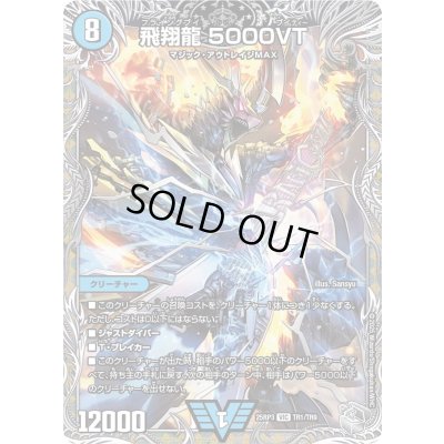 画像1: 〔状態A-〕飛翔龍5000VT【VIC】{25RP3TR1/TR9}《水》