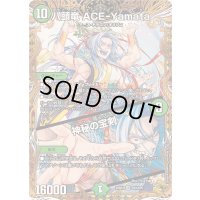 〔状態A-〕八頭竜ACE-Yamata/神秘の宝剣【VR】{25RP4SP4/SP5}《自然》