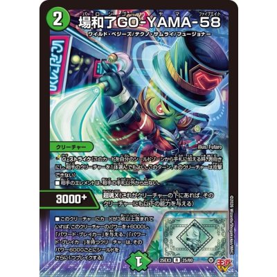 画像1: 場和了GO-YAMA-58【R】{25EX325/80}《自然》