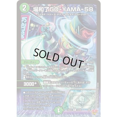 画像1: 〔状態A-〕場和了GO-YAMA-58【R】{25EX325/80}《自然》