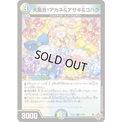 画像1: 〔状態A-〕大集合！アカネ＆アサギ＆コハク【U】{25EX357/80}《多》