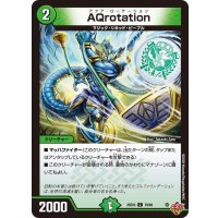 AQrotation【C】{25EX379/80}《自然》