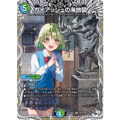 画像1: ガイアッシュの海地図【VR】{25EX3TD15/TD23}《多》