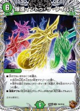 爆進イントゥ・ザ・ワイルド【R】{25EX3TF8/TF40}《自然》