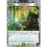 時空の庭園【R】{25EX3TF9/TF40}《自然》